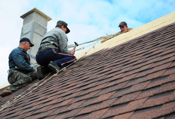 Best Local Roofing Companies  in Cameron Park, TX